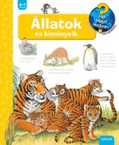 Könyv Állatok és kicsinyeik (Doris Rübel)
