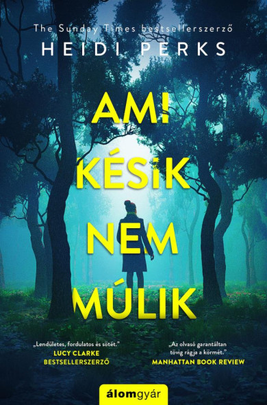 Könyv Ami késik, nem múlik (Heidi Perks)