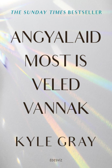 Könyv Angyalaid most is veled vannak (Kyle Gray)