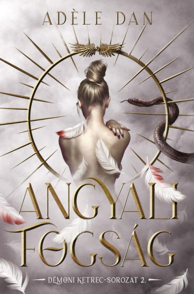 Könyv Angyali fogság (Adéle Dan)