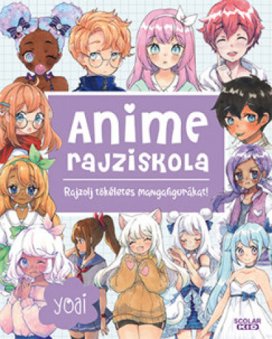 Könyv Anime rajziskola (Yoai)