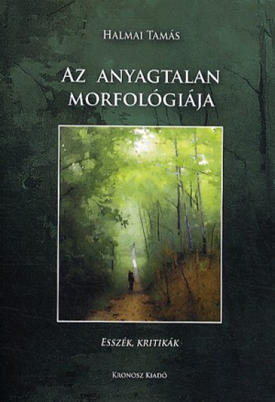 Könyv Az anyagtalan morfológiája (Halmai Tamás)