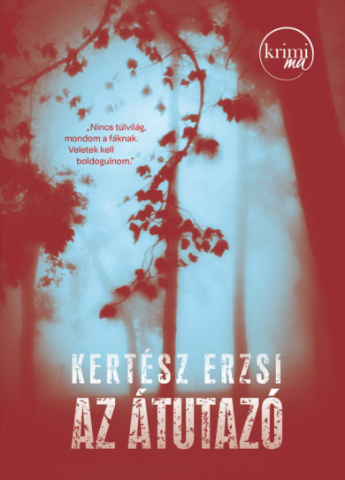 Könyv Az átutazó (Kertész Erzsi)