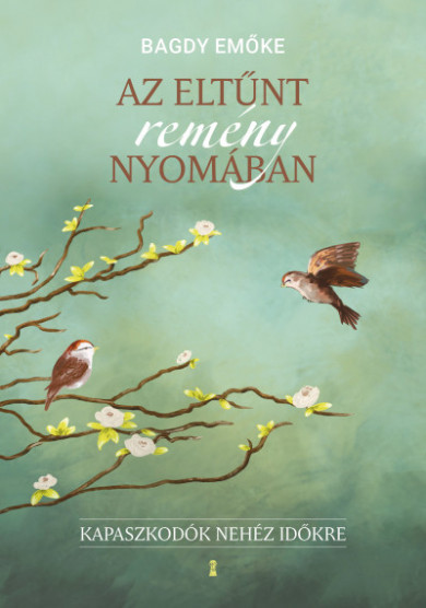 Könyv Az eltűnt remény nyomában - Kapaszkodók nehéz időkre (Bagdy Emőke)
