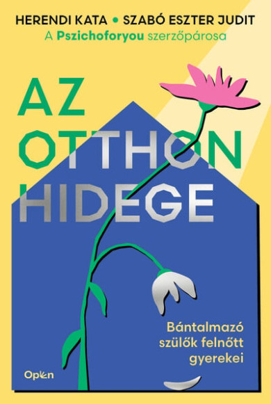 Könyv Az otthon hidege (Herendi Kata)