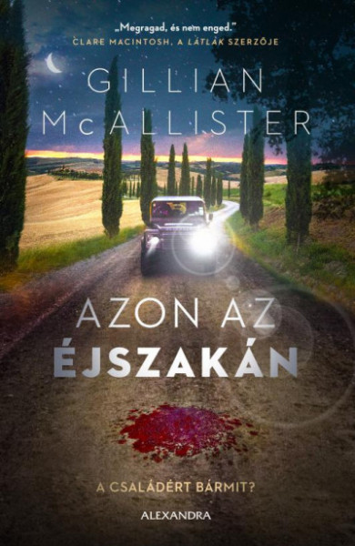 Könyv Azon az éjszakán - A családért bármit? (Gillian McAllister)