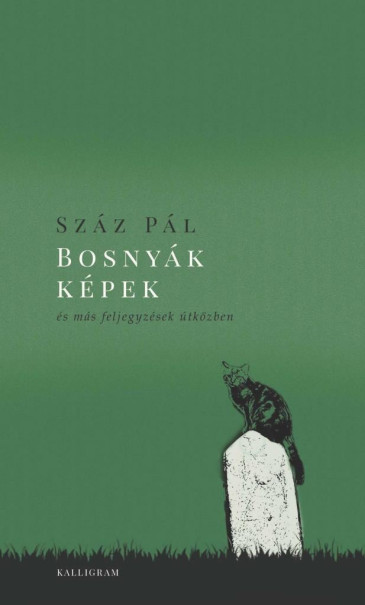 Könyv Bosnyák képek (Száz Pál)