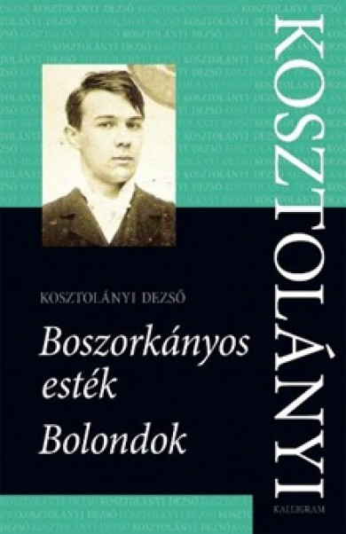 Könyv Boszorkányos esték / Bolondok (Kosztolányi Dezső)