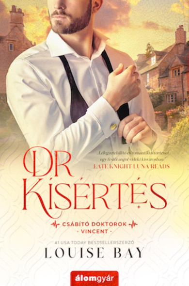 Könyv Dr. Kísértés (Louise Bay)