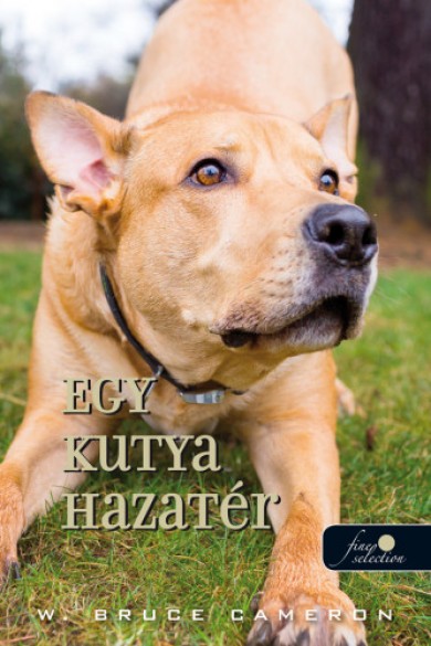 Könyv Egy kutya hazatér (W. Bruce Cameron)