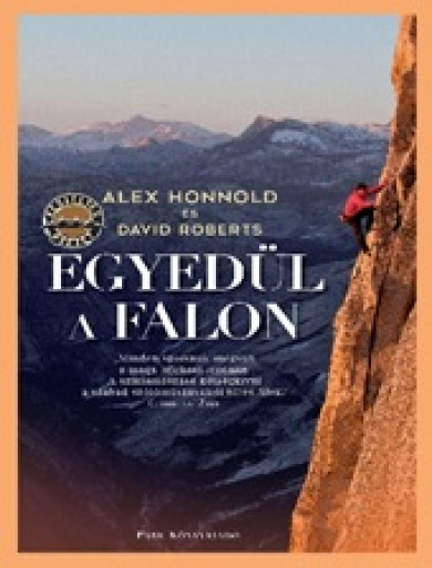 Könyv Egyedül a falon (David Roberts)