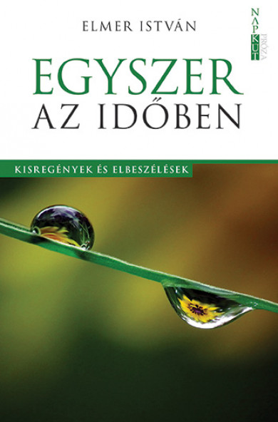Könyv Egyszer az időben (Elmer István)