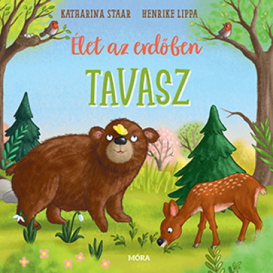 Könyv Élet az erdőben - Tavasz (Henrike Lippa)