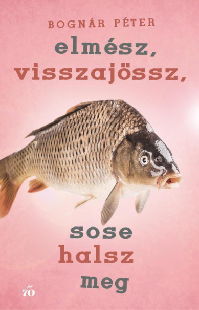 Könyv Elmész, visszajössz, sose halsz meg (Bognár Péter)