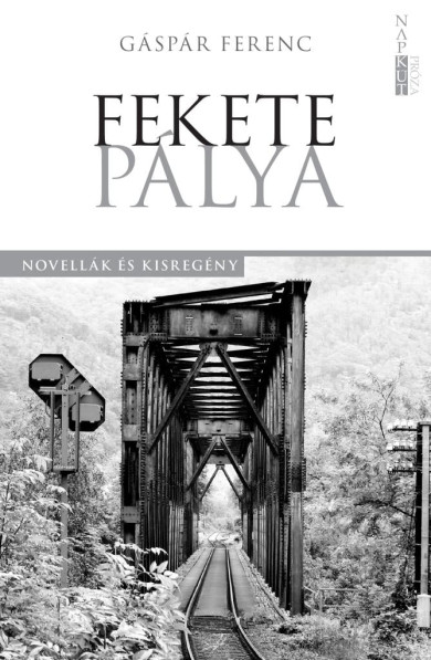 Könyv Fekete pálya (Gáspár Ferenc)