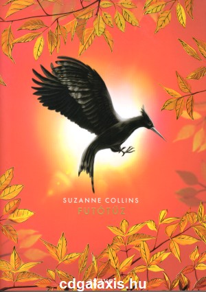 Könyv Futótűz (Suzanne Collins)