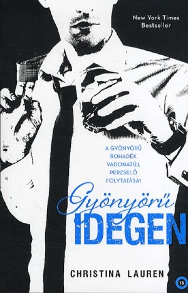 Könyv Gyönyörű idegen (Christina Lauren)