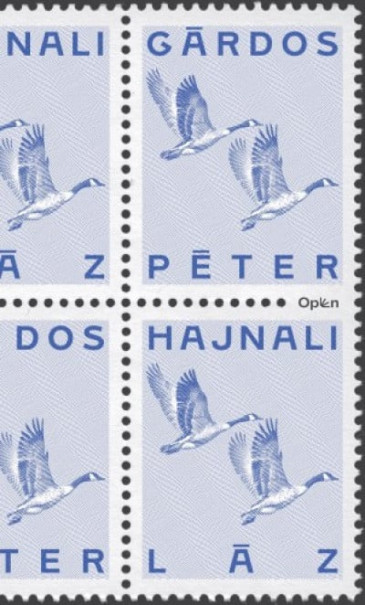 Könyv Hajnali láz (Gárdos Péter)
