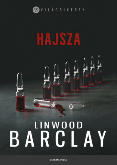 Könyv Hajsza (Linwood Barclay)