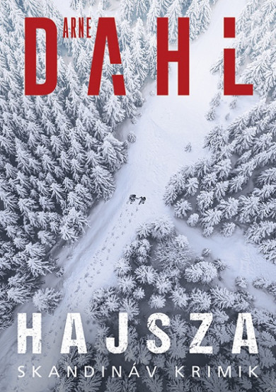 Könyv Hajsza (Arne Dahl)