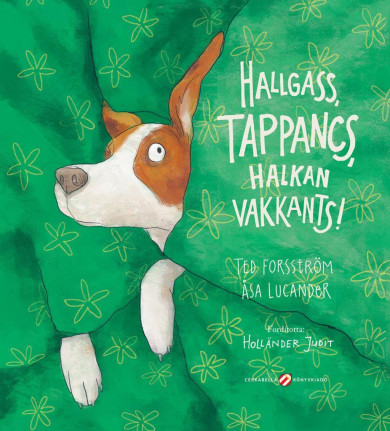 Könyv Hallgass, Tappancs, halkan vakkants! (Ted Forsström)