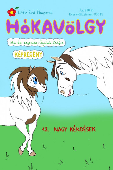 Könyv Hókavölgy 12. - Nagy kérdések (Gyükér Zsófia)