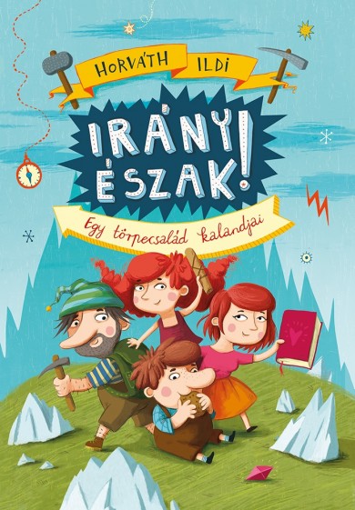 Könyv Irány Észak! (Horváth Ildi)