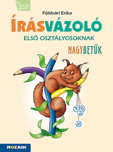 Könyv Írásvázoló 1. osztályosoknak (MS-1652V) - Nagybetűk (Földvári Erika)