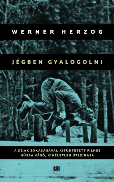 Könyv Jégben gyalogolni (Werner Herzog)