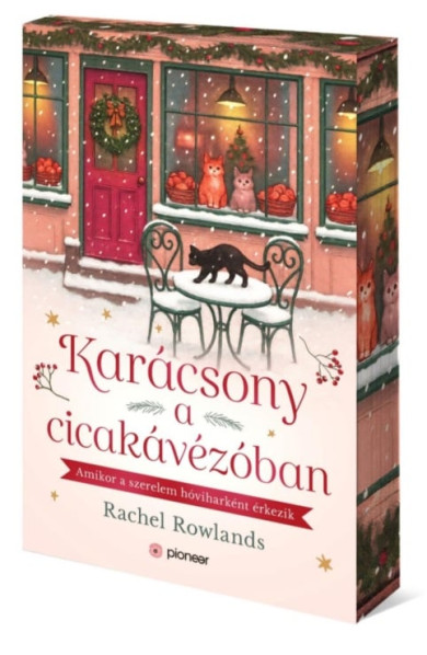 Könyv Karácsony a cicakávézóban - Éldekorált kiadás (Rachel Rowlands)
