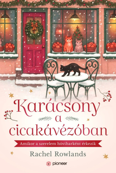 Könyv Karácsony a cicakávézóban (Rachel Rowlands)
