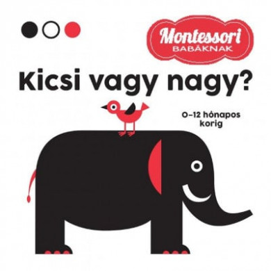 Könyv Kicsi vagy nagy? - Montessori babáknak
