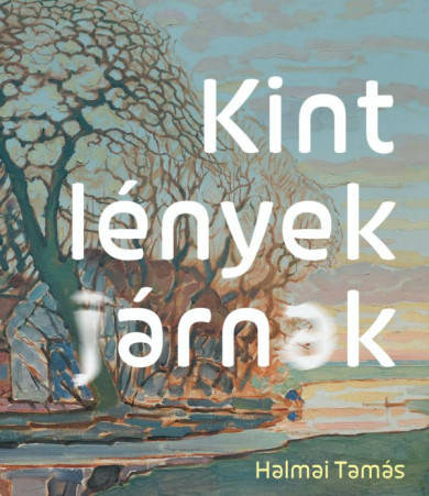 Könyv Kint lények járnak (Halmai Tamás)