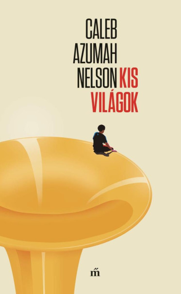 Könyv Kis világok (Caleb Azumah Nelson)