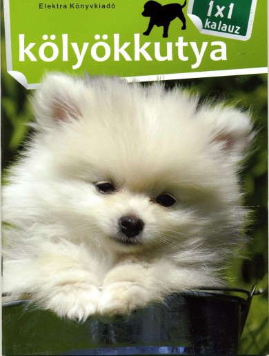 Könyv 1x1 Kölyökkutya (Bernáth István)