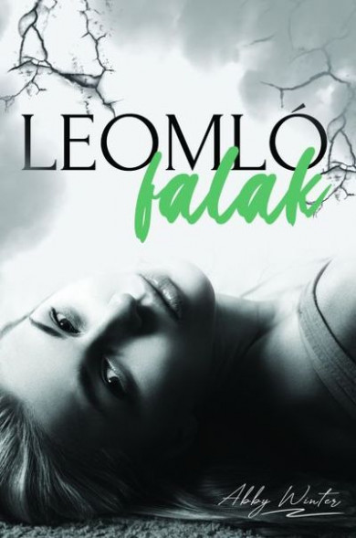 Könyv Leomló falak (Abby Winter)