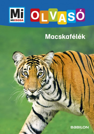 Könyv Macskafélék - Mi MICSODA Olvasó (Christina Braun)