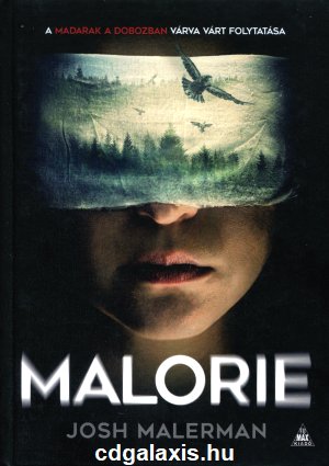 Könyv Malorie (Josh Malerman)