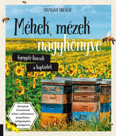 Könyv Méhek, mézek nagykönyve - Gyógyító kincsek a kaptárból (Stephanie Brun