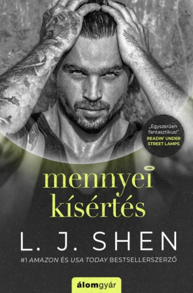 Könyv Mennyei kísértés (L. J. Shen)