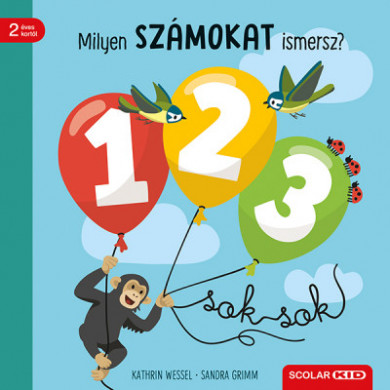 Könyv Milyen számokat ismersz? (Sandra Grimm)
