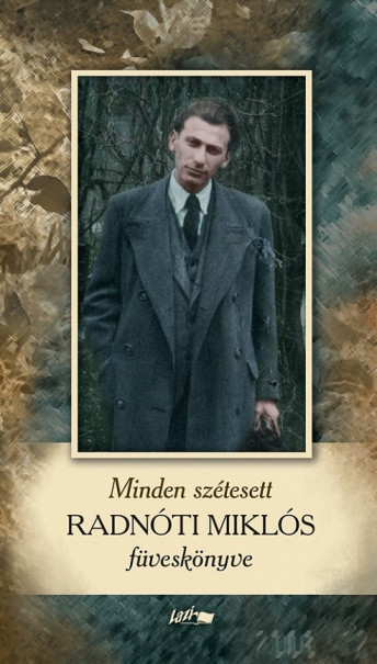 Könyv Minden szétesett (Radnóti Miklós)