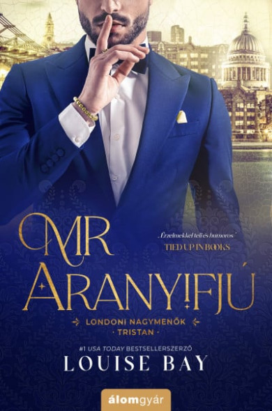 Könyv Mr. Aranyifjú (Louise Bay)
