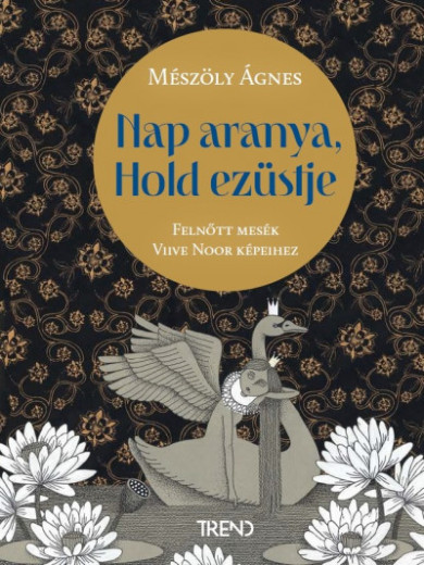 Könyv Nap aranya, Hold ezüstje (Mészöly Ágnes)