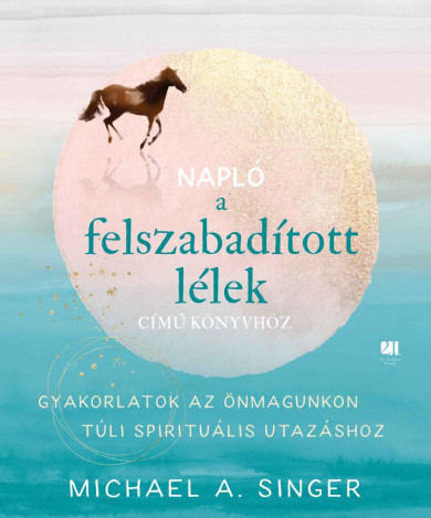 Könyv Napló a Felszabadított lélek című könyvhöz (Michael A. Singer)