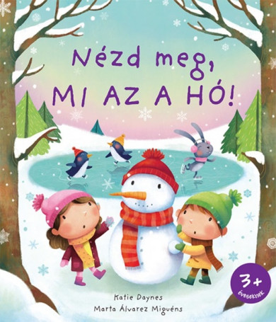 Könyv Nézd meg, mi az a hó! (Katie Daynes)