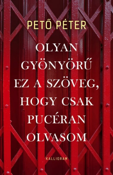 Könyv Olyan gyönyörű ez a szöveg, hogy csak pucéran olvasom (Pető Péter)