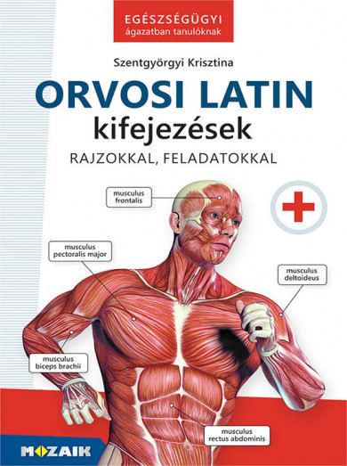 Könyv Orvosi latin kifejezések - Egészségügyi ágazatban tanulóknak (Szentgyö