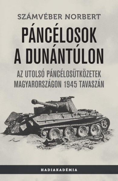 Könyv Páncélosok a Dunántúlon (Számvéber Norbert)