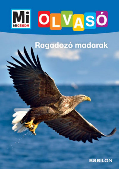 Könyv Ragadozó madarak - Mi Micsoda Olvasó (Christina Braun)